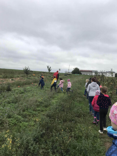 IMG_9192 - Kopie (2)