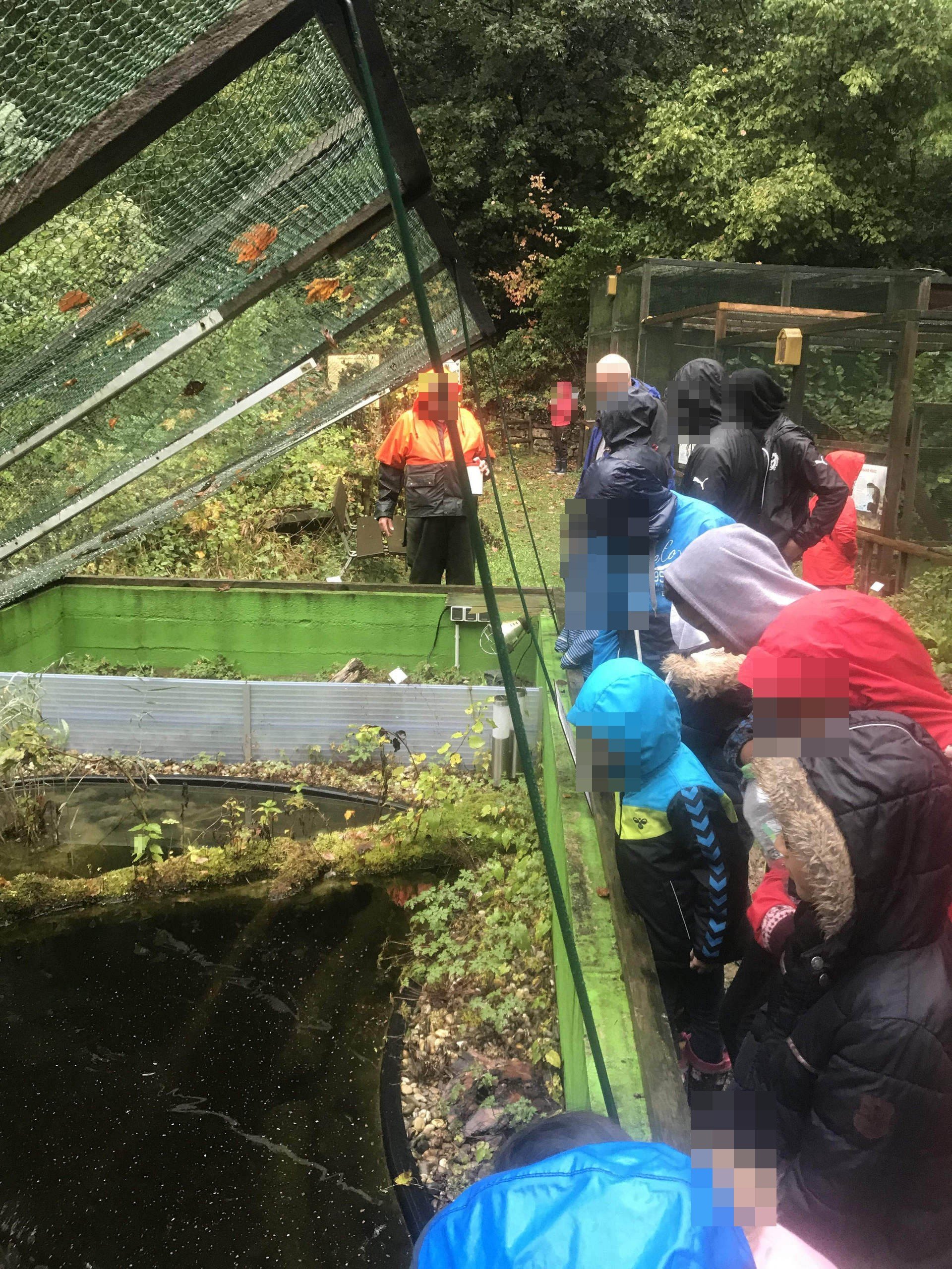 IMG_9223 Kinder bei der Herbstferien-Erlebniswoche „Natur und Umwelt vor unserer Haustür“ 2019