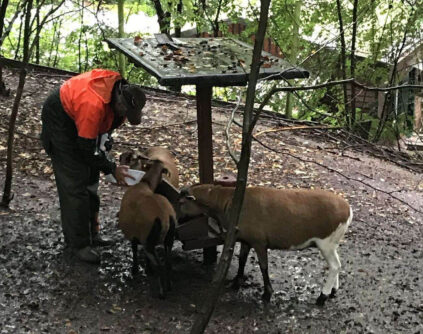 Umwelt_Herbst_IMG_9230