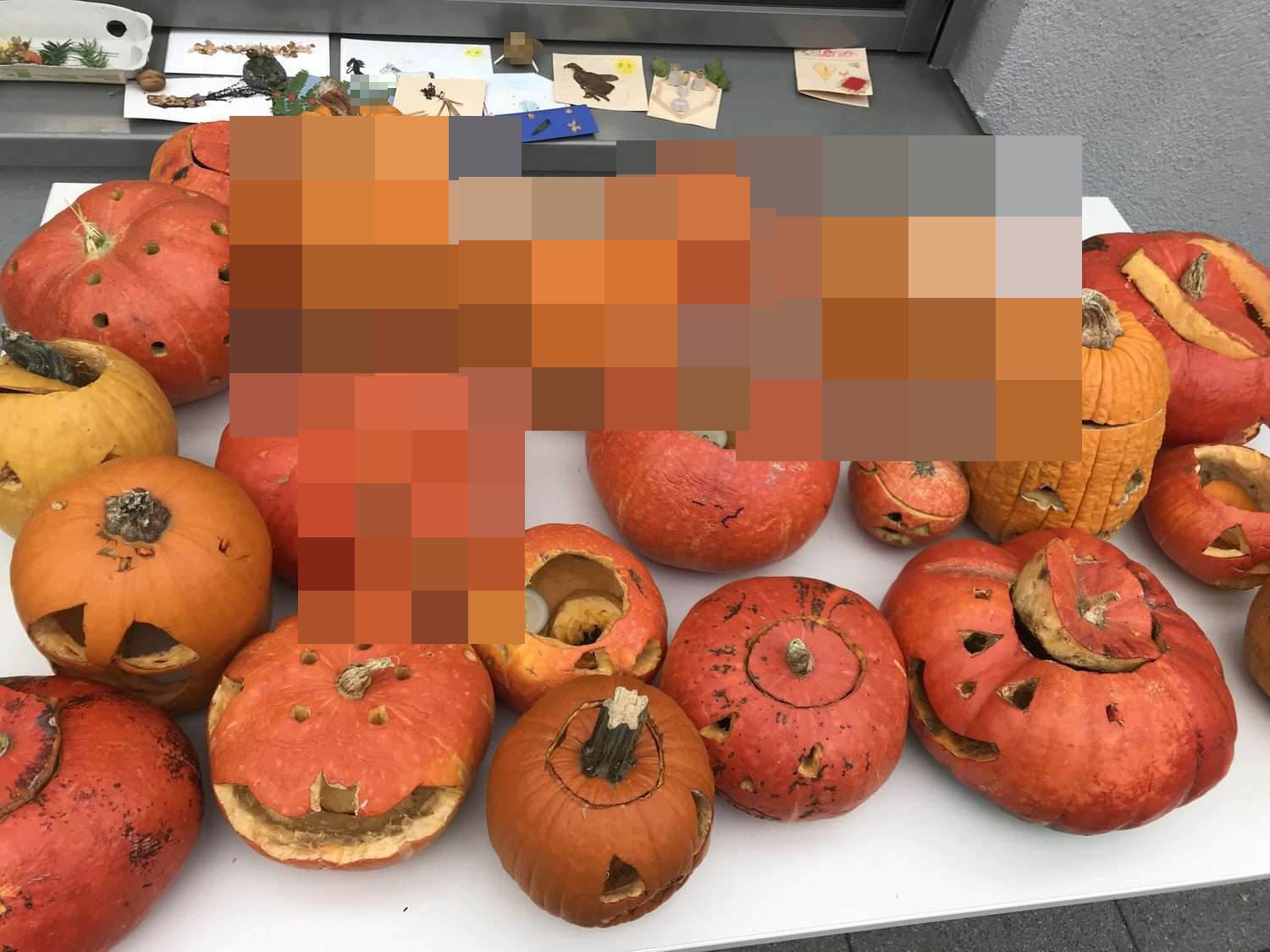 Umwelt_Herbst_IMG_9336 Kinder bei der Herbstferien-Erlebniswoche „Natur und Umwelt vor unserer Haustür“ 2019