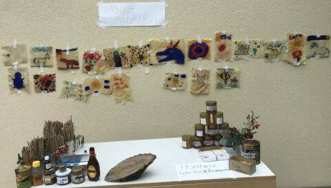 Umwelt_Herbst_IMG_9360