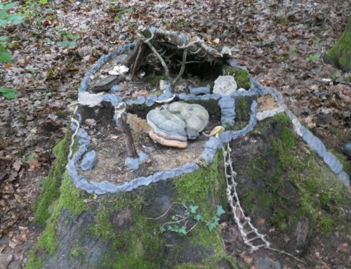 Naturcamp im Rahmen der Sommer Ferienspiele 2025
