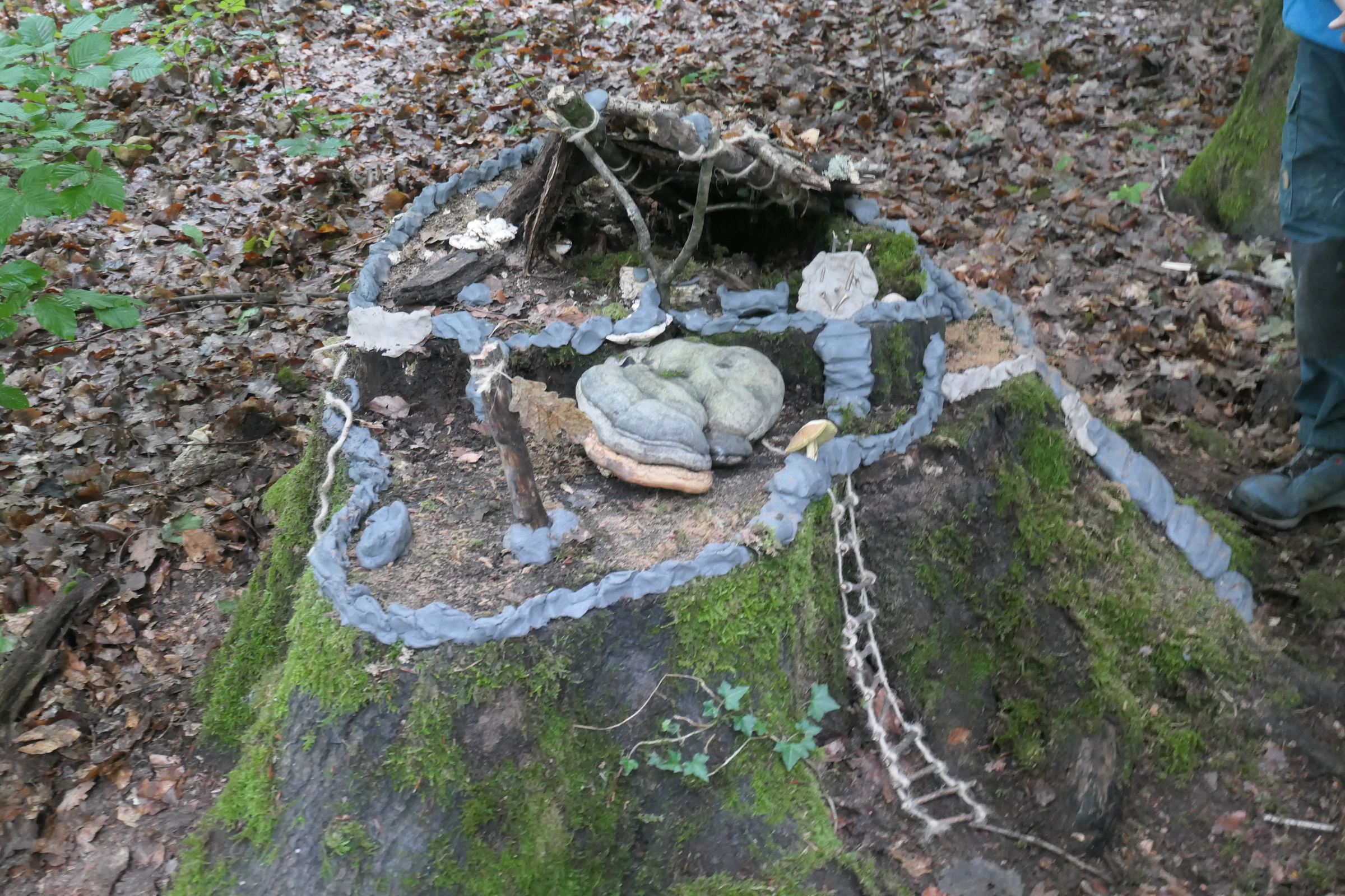 2025-08 – Clement Stiftung – Naturcamp – P1033955