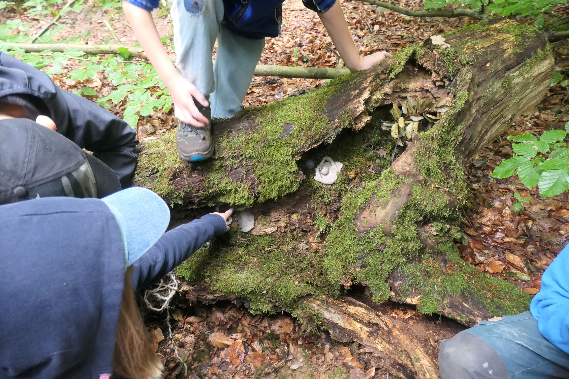 2025-08 – Clement Stiftung – Naturcamp – P1033966