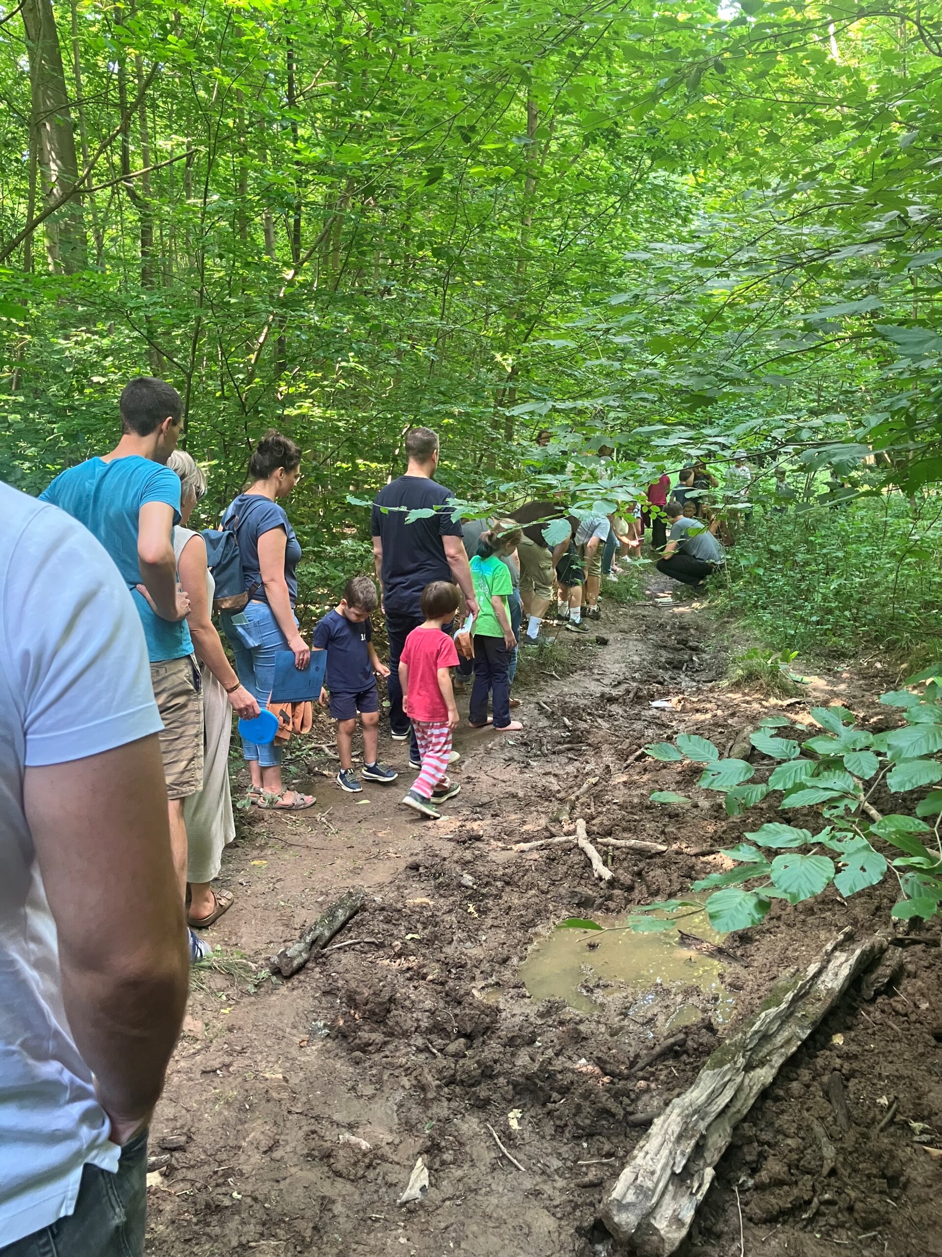 2025-08 – Clement Stiftung – Naturcamp – image002