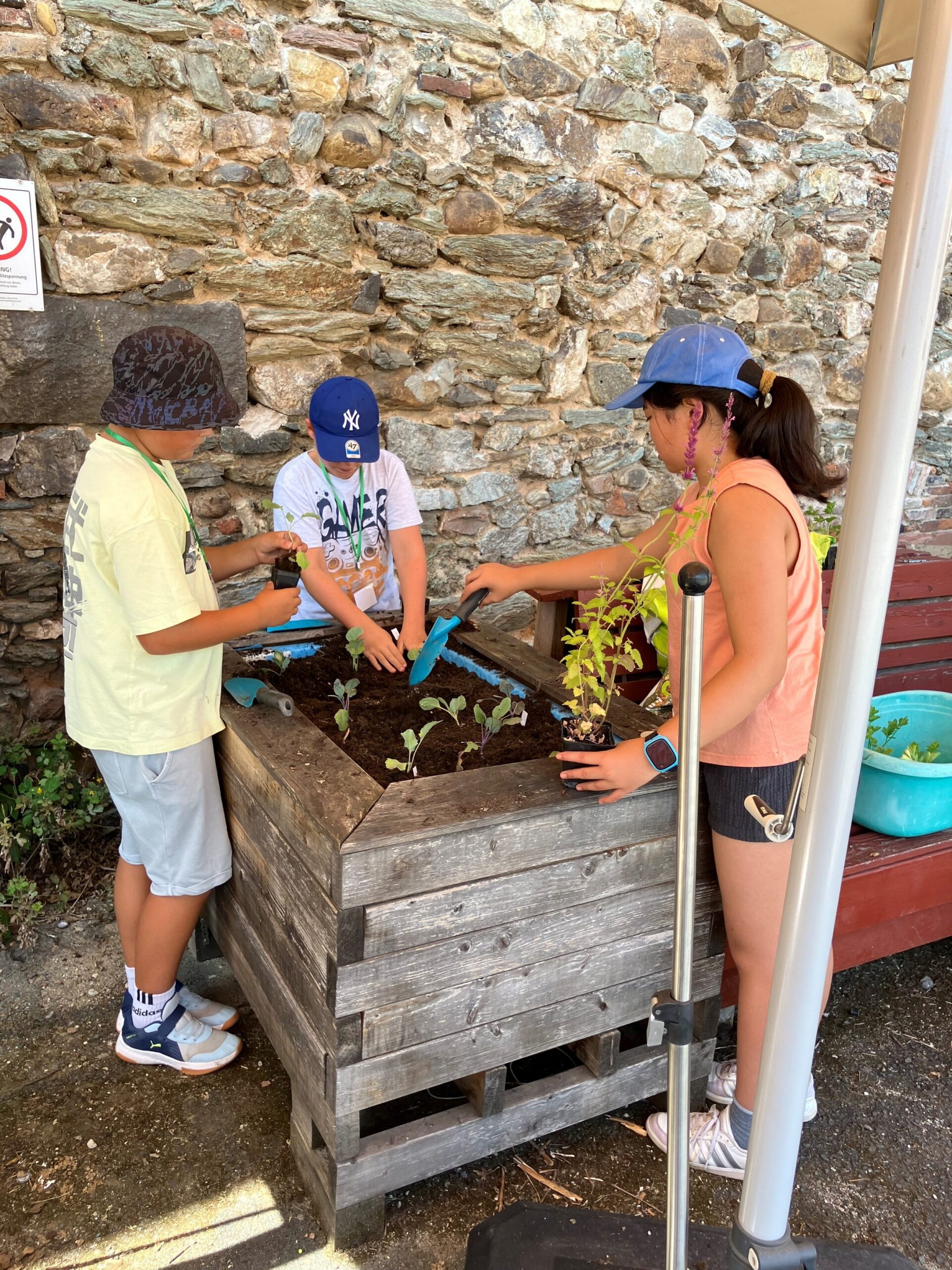 2025 - Clement Stiftung - Vielfalt